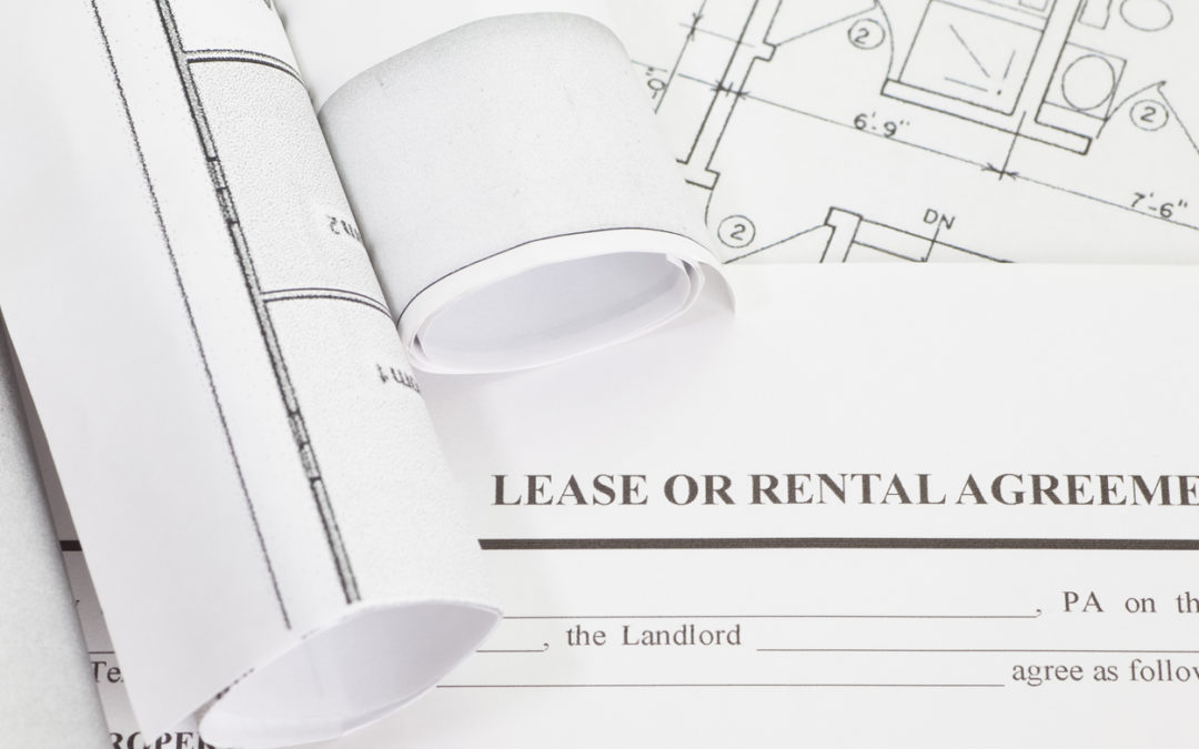 Why Hire Whitebox for a Renewal Lease?