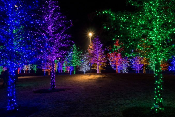 Where To See the Best Christmas Lights in Dallas